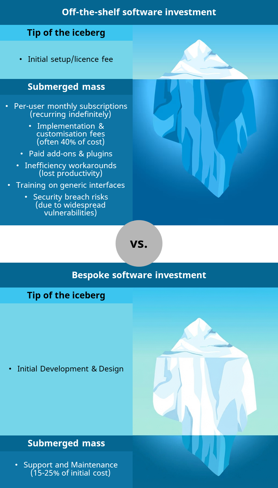 Iceberg infographic comparing hidden costs of off-the-shelf software versus bespoke software investment