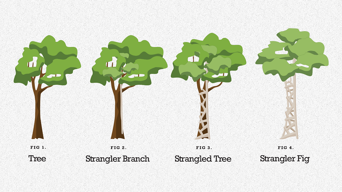 Strangler Fig Pattern