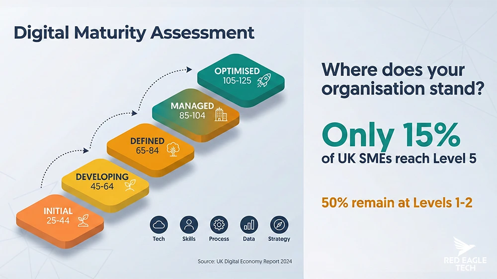 Digital maturity assessment showing five dimensions of digital capability